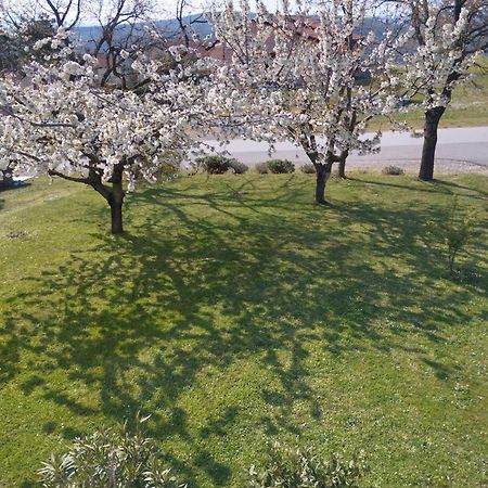 Daal Apartment Roc Bagian luar foto