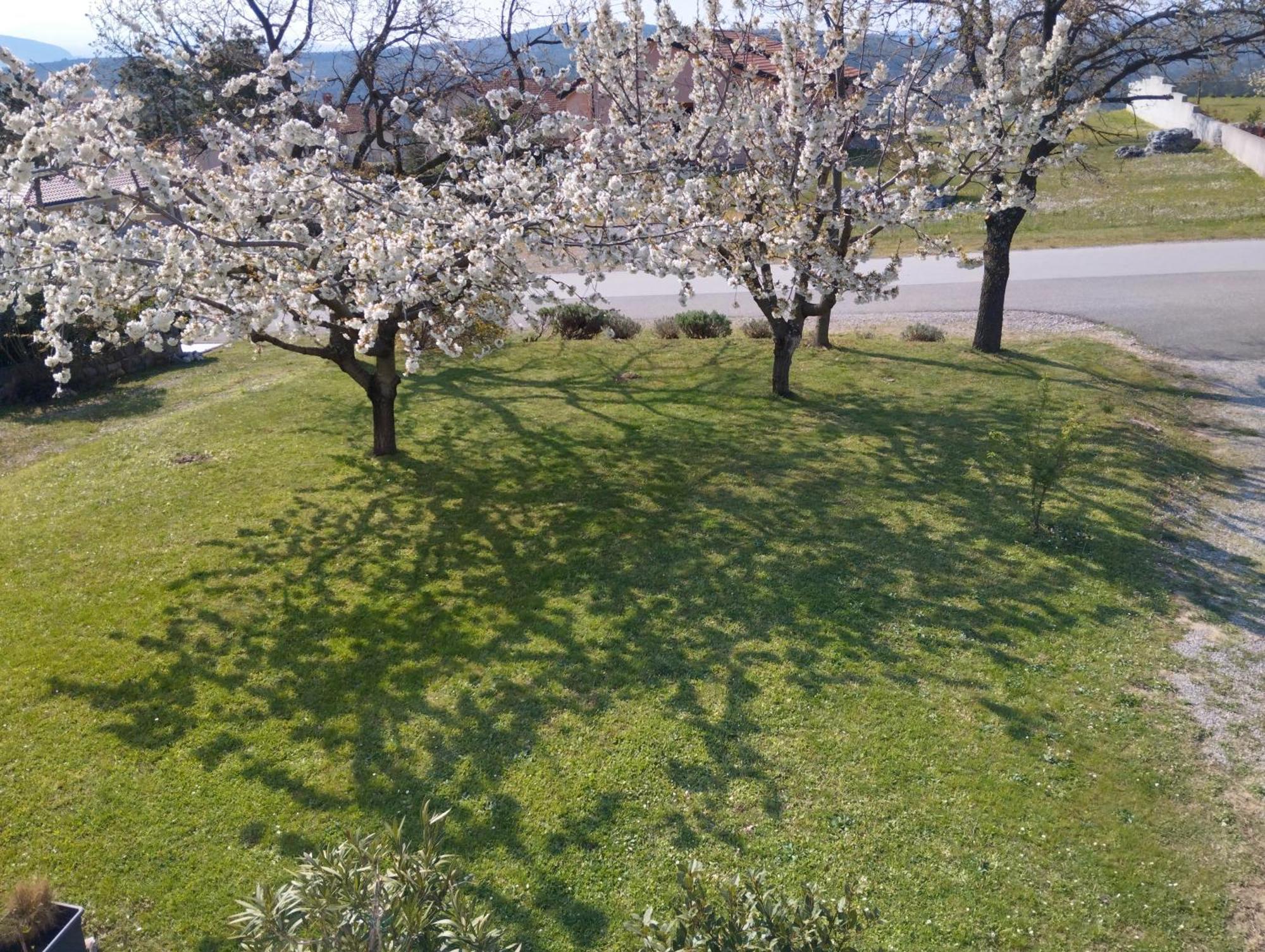 Daal Apartment Roc Bagian luar foto